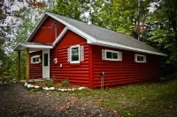 Knotty Pine