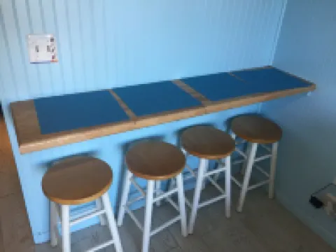 Direct Oceanfront Condo and Drive on the Beach Access!! 克雷森特海灘酒店