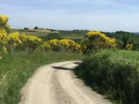 House / Villa - Cetona Hotels in Cetona