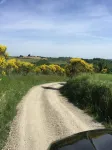 House / Villa - Cetona