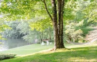 Lakefront Retreat in Quite Cove on Luxurious Lake Toxaway Hotels in Hogback