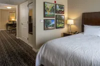 Hilton Garden Inn St. Louis Airport Các khách sạn ở Berkeley