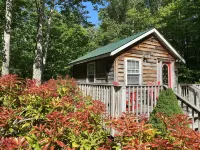 Two-Tiny Cabins