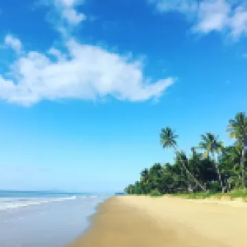 Pet friendly stay close to the beach