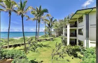 Luxury Ocean Villa 217 at Turtle Bay! Ocean Front! -  Ferienhäuser