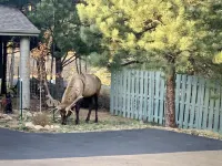 Beautiful Townhome near Thompson River w/ Hot tub, Theater room, EV Charger, AC Hotels near Stanley Park-Special Events