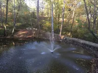 Hickory Grove Cabin On 8 Acres With Private Fishing Pond.