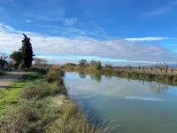 Maison Bord du Canal du Midi Piscine