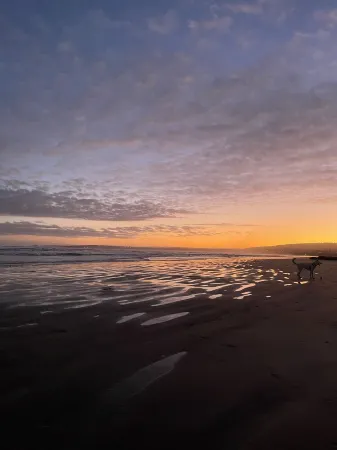 The Nook on Newell, minutes to the beach on foot - Pets welcome