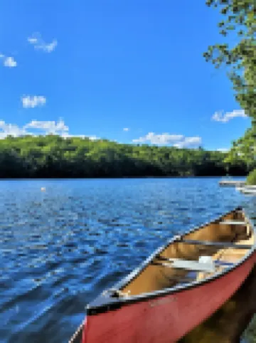 Pinetree Suite- Located on the Lake, Surrounded by Pine Trees...Perfect