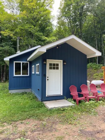 Cozy little cabin in the woods. 2 minutes away from Brule Lake boat landing!