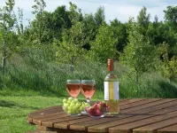 Wendy's Wing is an accessible holiday cottage for 2 with wet-room, pets welcome.