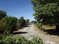 Perfect villa with pool and garden near the beach Hotels in Felanitx