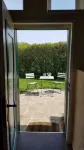 Summer in the old stable