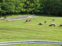 Slopes View! Large Deck/Heated Pool/Hot Tub/Fitness/Sauna/Steam! 2BD/2BA+SofaBed