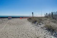 Peaceful Getaway Close to Loop, Beach, Dining
