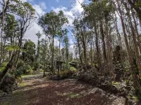 Off-Grid Rainforest Retreat