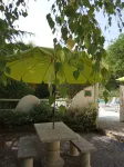 Country Holiday Home - 4 Rooms - 4/6 Persons