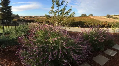 Stunning Views, 2-Master Suites, Pizza Oven, Vineyard Living, Gardens, Peaceful! San Luis Obispo O'Sullivan Aaf 주변 호텔