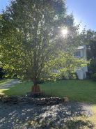 Moonfire Farm Shenandoah region cozy getaway