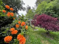 Humble Home on the Coast in the Heart of Redwood National Park with Hot Tub! Hotel in zona Parco nazionale di Redwood