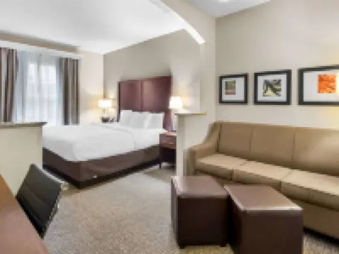 コンフォート スイーツ サムター ニア ショー エアフォースベース サムターのホテル