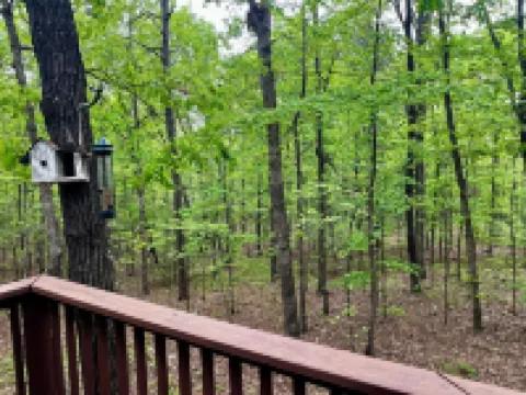 Tranquil Cabin Like Home in Hot Springs Village.