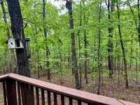 Tranquil Cabin Like Home in Hot Springs Village. Hotels in Hot Springs Village