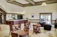 Nova Inn Peace River Hotels in Peace River