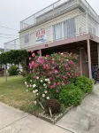 Elis Apartment Các khách sạn ở 