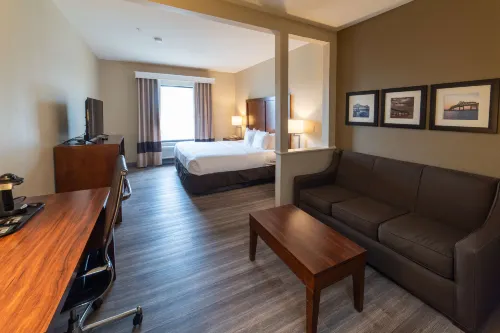 Sonesta Essential - Baton Rouge Airport - 2-نجوم