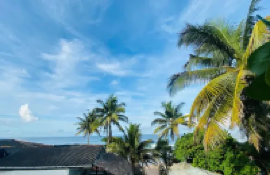 希克杜沃茶書館