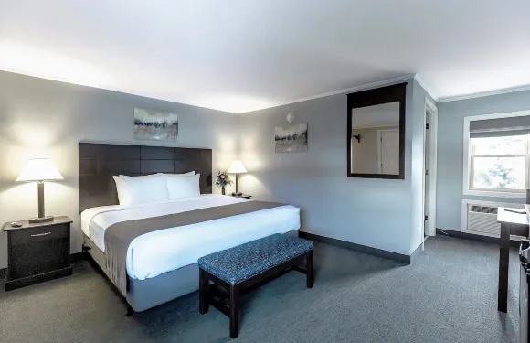 蒙特麥迪遜套房酒店