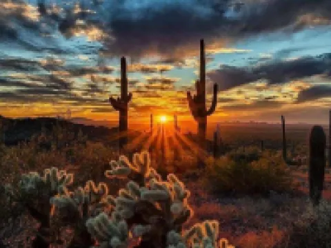 Truro Sun Lakes Hotels in Sun Lakes