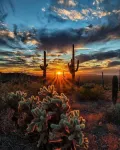 Truro Sun Lakes