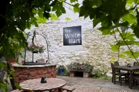 White Hart, Exeter by Marston's Inns