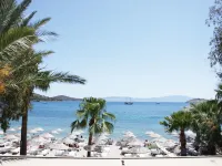 Toloman Hotel Bitez Beach Hotels in Bitez