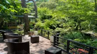 Yukairo Kikuya Hoteles cerca de Shuzenji