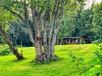 Moose Twin Cabins.