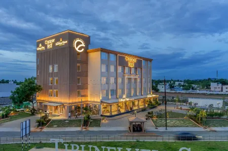Copper Leaf Hotels, Tirunelveli Отели рядом с достопримечательностью «Anna nagar park»
