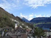 Organic Bnb Froschkoenig "Chaiserstock"