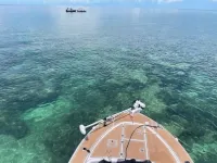 Sunrise Oasis in big pine key Hotels in Big Pine Key