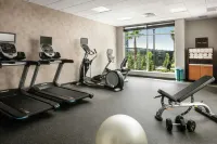 Hilton Garden Inn Sacramento Airport Natomas