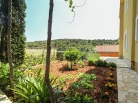 Boutique Apartment with Garden in Trogir