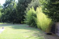 Aux p'Tits Bonheurs la Grange Hotels in Douvrin