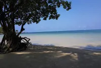 Dusita Resort Kohkood - Beach