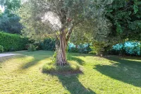Mot Wine Country Mansion - maisons de vacances