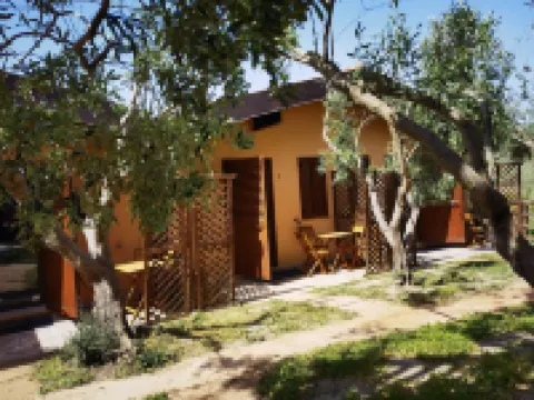 라 코르테 델리 욜리비