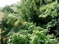 3-Zimmer Apartment Mit 2 Bädern am Marktplatz Hotels in Tubingen