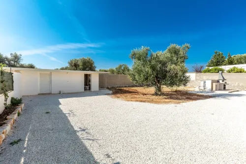 3642 Villa Angi by Perle di Puglia - Homestays